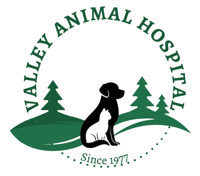 Veterinarian in Akron | Ohio Pet Vet Valley Animal Hospital in Akron, OH